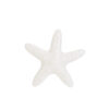 LE STELLE -  STOCK STELLA MARINA PORCELLANA COL.BIANCO