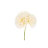 LE STELLE - Stock Set 3 fiori garofano