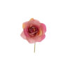 LE STELLE - STOCK ROSA DECORATIVA